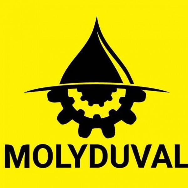 Molyduval Pegasus TKD 2 HV in 100 gr/Tube Synthetisches Hochtemperaturfett